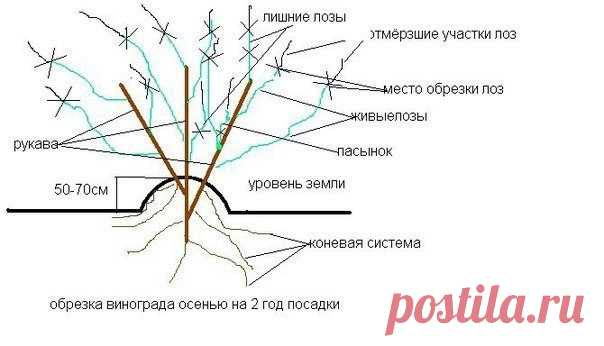 Дачник
http://vk.com/public134655935