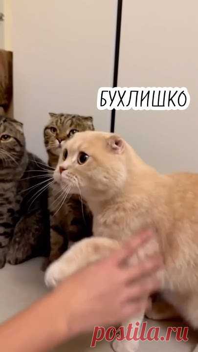 Актуально всегда😅