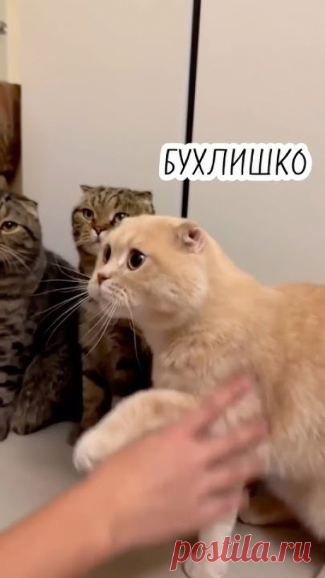 Актуально всегда😅
