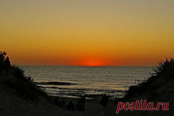 Японские учёные озвучили срок, когда Земля может стать безжизненной Специалистами NASA в тандеме с японскими исследователями представлен совместный прогноз, по которому Земля может стать непригодной для жизни примерно к 1 000 002 021 году.Ключевой причиной фатальных изменений учёные считают рост яркости Солнца, последствиями которого станет испарение...