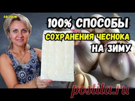 ВСЮ ЗИМУ ЧЕСНОК ХРАНИТСЯ без особых потерь. ТРИ СПОСОБА хранения чеснока. ‪@galabum‬