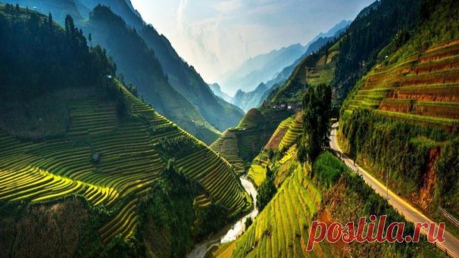 Рисовые поля, Вьетнам