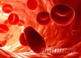 Эти четыре продукта лучше всего разжижают кровь - Медицина 2.0