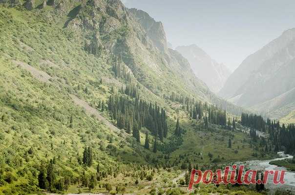 Ала-арчинское ущелье, Киргизия. Автор фото — Василий Шумкин: nat-geo.ru/photo/user/297413/