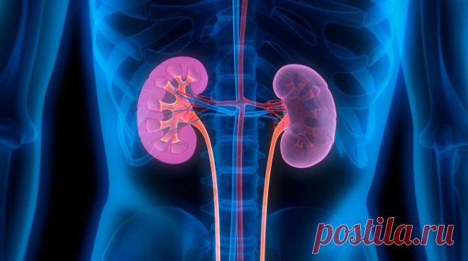 Что означает боль в паху слева? Боль в левом паху у женщин, ее причины и лечение :: SYL.ru