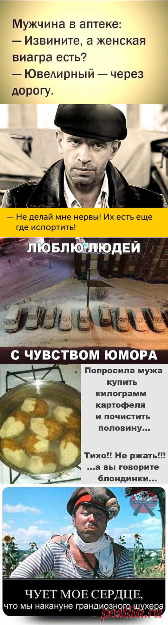 Картинки с юмором: прикольные надписи и фразы | В темпі життя