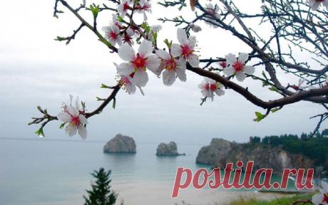 Весенний Крым