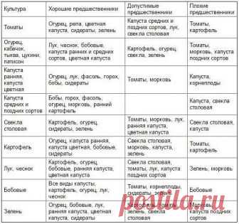 Таблица чередования посевов овощей в огороде 
 
Из севооборота овощей можно извлечь выгоду. Это и защита растений от вредителей и болезней, и сохранение плодородия почвы. Но недостаточно просто менять овощи местами от сезона к сезону, нужно учитывать, какие предшественники наиболее полезны для каждой овощной культуры. 
 
При севообороте соблюдаем правило: не сеять одну и ту же культуру второй год на старое место. Это относится и к представителям одного и того же семейства ...