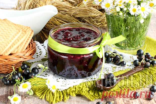 Быстрое варенье из смородины по-шведски «Силт» | 8 Ложек