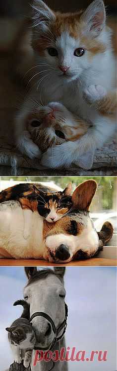 friends | Love...