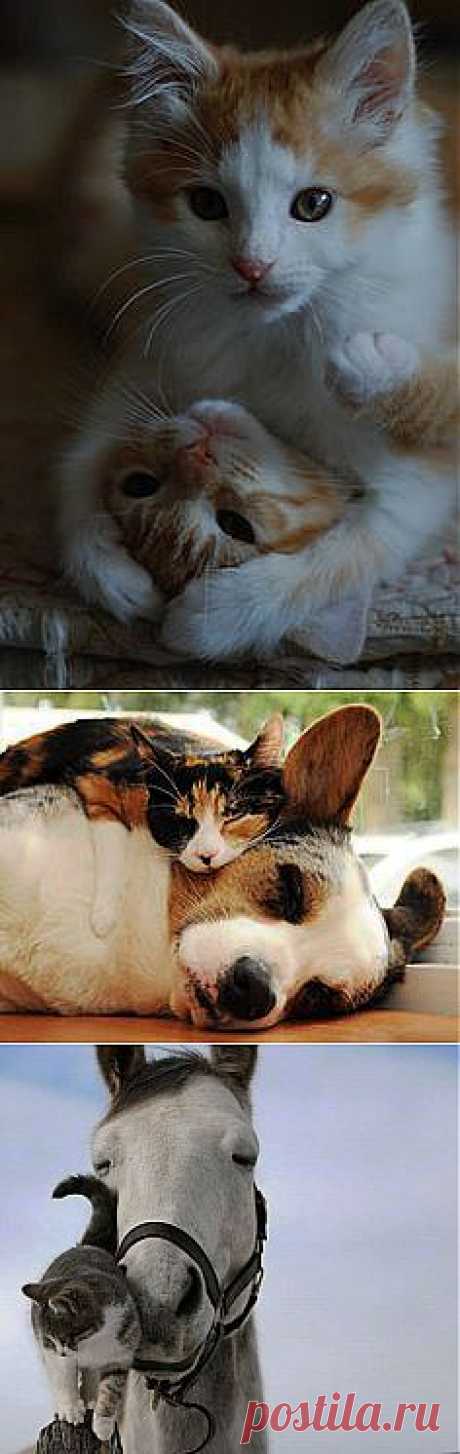 friends | Love...