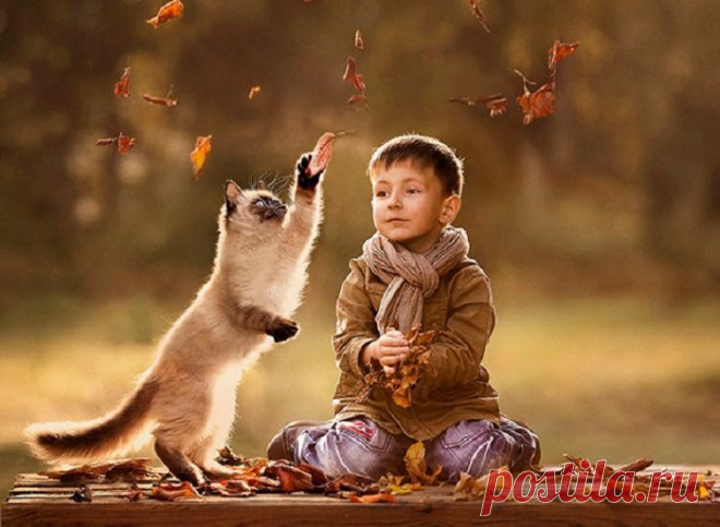 Милота без границ: 23 добрейшие фотографии детей с кошками