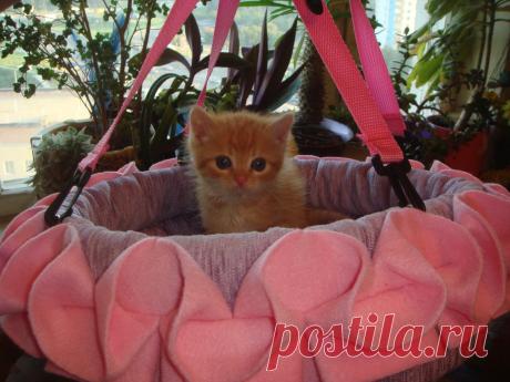 и тут я позирую, вместо хорька)))