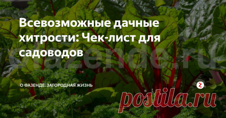 Всевозможные дачные хитрости: Чек-лист для садоводов Поливайте свёклу методом дождевания, часто, но осторожно...