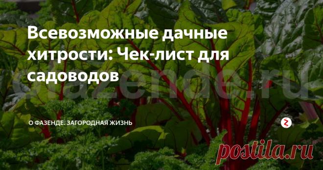 Всевозможные дачные хитрости: Чек-лист для садоводов Поливайте свёклу методом дождевания, часто, но осторожно...