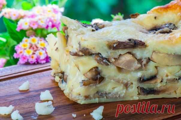 Грибная лазанья