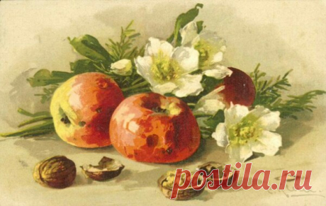 Катарина Кляйн
