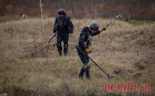 В Италии допустили участие в разминировании территорий Украины. Итальянские власти не рассматривают отправку войск на Украину, но готовятся внести вклад в коллективные усилия по достижению мирного соглашения Москвы и Киева. По данным La Repubblica, Рим может помочь с разминированием территорий