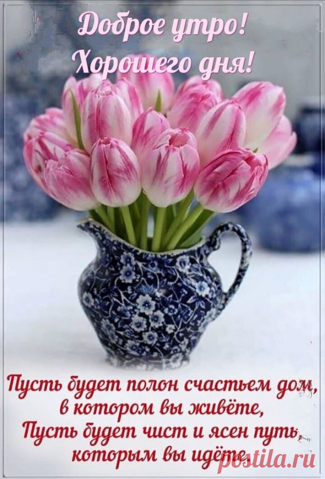 i (720×1061)