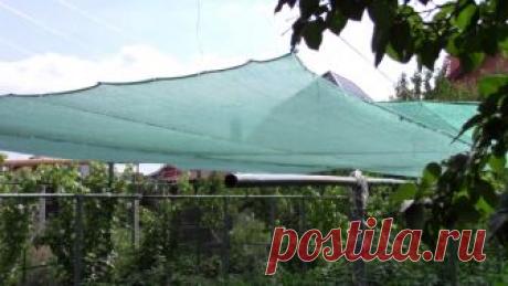 Укрывные материалы для огорода: виды и особенности