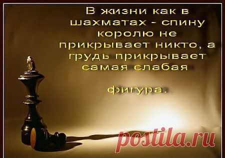 о жизни...