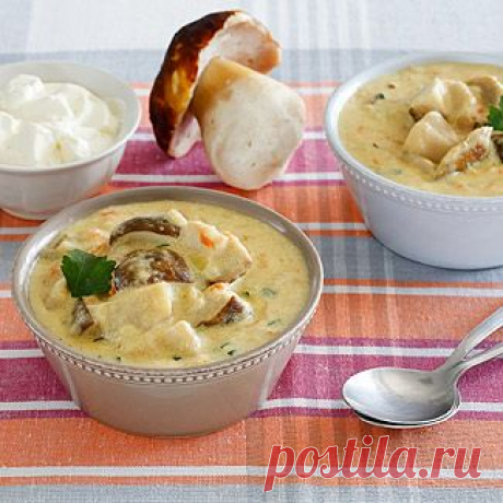 Суп из белых грибов в мультиварке. Пошаговый рецепт с фото на Gastronom.ru
