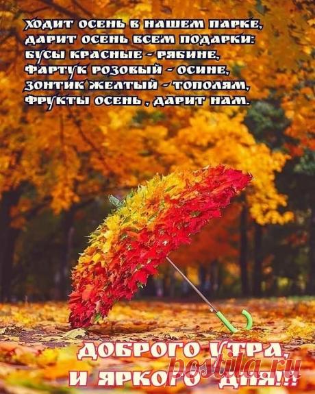 69551912_188358968830825_2987897269169833018_n.jpg (720×900)