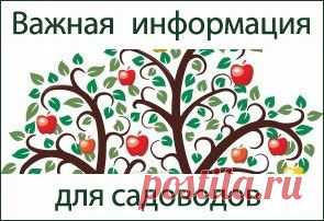 На перспективу...Время посадки. Наблюдай за природой...