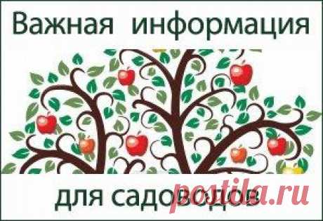 На перспективу...Время посадки. Наблюдай за природой...