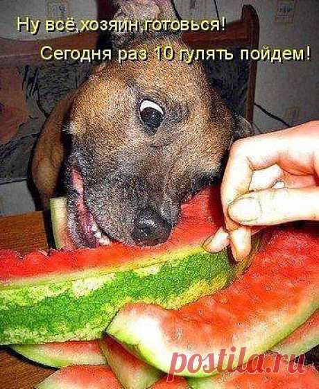 Арбуз - это хорошо......