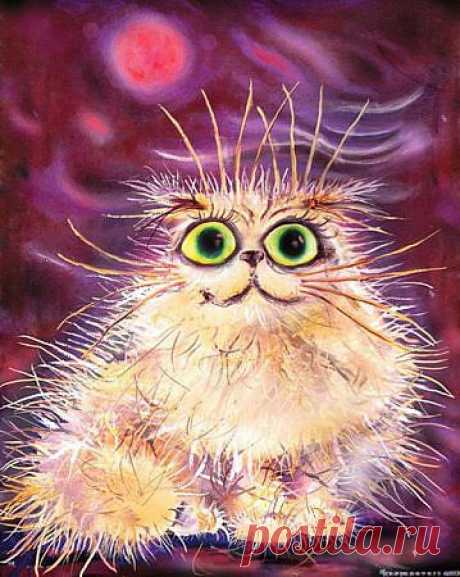Кошачий устав