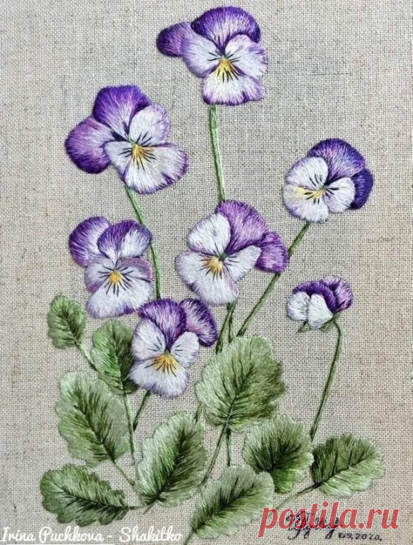 Вышивка гладью: анютины глазки. Эскизы