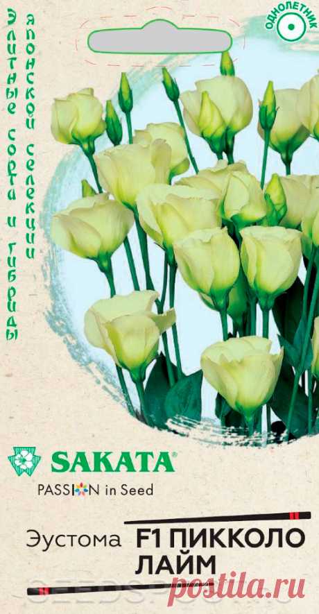Эустома Пикколо Лайм F1, 5 шт. Sakata, купить в интернет магазине Seedspost.ru