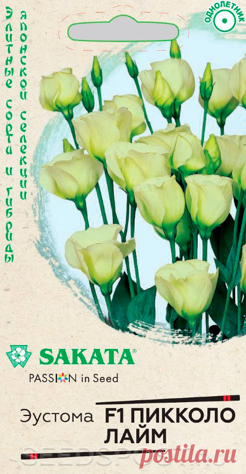 Эустома Пикколо Лайм F1, 5 шт. Sakata, купить в интернет магазине Seedspost.ru