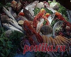 Какие продукты содержат йод и в большом количестве |Сколько раз доводилось уже слышать или читать о том, как необходимы для нашего с Вами здоровья продукты, содержащие йод. Неудивительно – йод – это химический элемент, при недостатке которого нормальное функционирование и развитие человеческого организма просто немыслимо. Без йода не может нормально работать ни один из наших органов или их систем. Очень важен этот минерал для щитовидной железы.