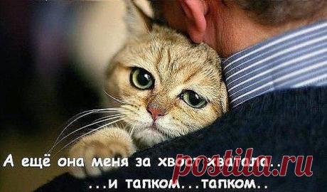 ЖАЛОБА...