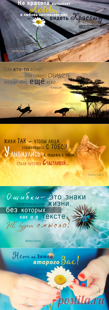 Мудрые, позитивные и короткие высказывания о жизни великих людей