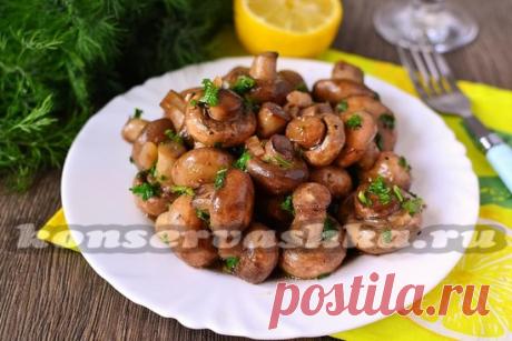 Письмо «сообщение галина5819 : Маринованные шампиньоны «Ароматные» за 10 минут (04:13 21-11-2017) [3803925/425229456]» — галина5819 — Яндекс.Почта