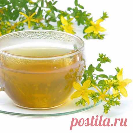 Зверобой лечит более 80 болезней - народная медицина