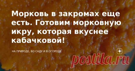 Морковь в закромах еще есть. Готовим морковную икру, которая вкуснее кабачковой! В погребе очень хорошо сохранилась морковь. Лежала в коробке с песком и до лета не потеряла сочности и сладости, не стала дряблой Чуть проклюнулись листочки, но мы не позволим нашей морковке израсти и испортиться, не выбросим ее, а приготовим морковную икру по простому рецепту.  Такую, что пальчики оближешь!   Продуктов много не нужно: Помидоры и тыква у меня были замороженные прошлогодние, из...