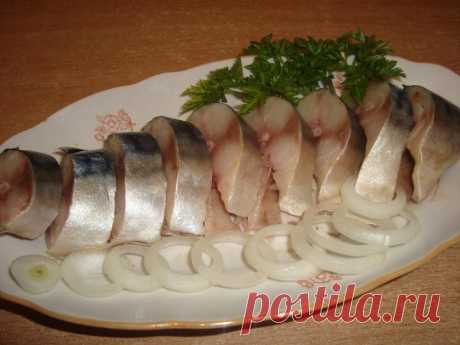 Три вкусных рецепта маринованной рыбы. Ароматный картофель пай 







Скумбрия по-имеретински, под соусом киндзмари
Традиционно в Грузии по этому рецепту готовится сом, но можно приготовить и любую другую жирную рыбу. Я люблю готовить маринованную скумбрию под с…