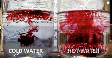 Холодная вода против теплой воды: одна из них вредит вашему здоровью 


Знаете ли вы?







 


Если вы один из тех, кому нравится начинать свой день с чашки горячего кофе или стакана ледяной воды, пришло время внести некоторые важные изменения в ваш утренний ритуал. …
