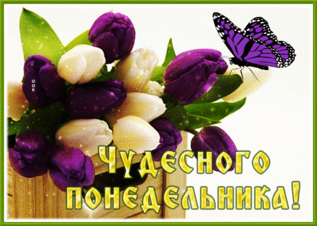 В понедельник всем не просто,
Встать с утра ведь очень лень.
Хочется на дальний остров,
Лечь куда подальше в тень.