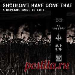 VA - Shouldn't Have Done That - A Depeche Mode Tribute (2024) 320kbps / FLAC