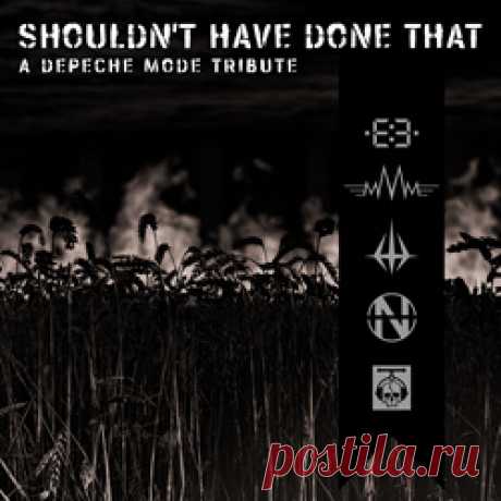 VA - Shouldn't Have Done That - A Depeche Mode Tribute (2024) 320kbps / FLAC