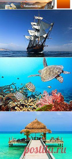 Фотообои для стен с 3D эффектом: моря и красивые пляжи, пальмы и белоснежный песок