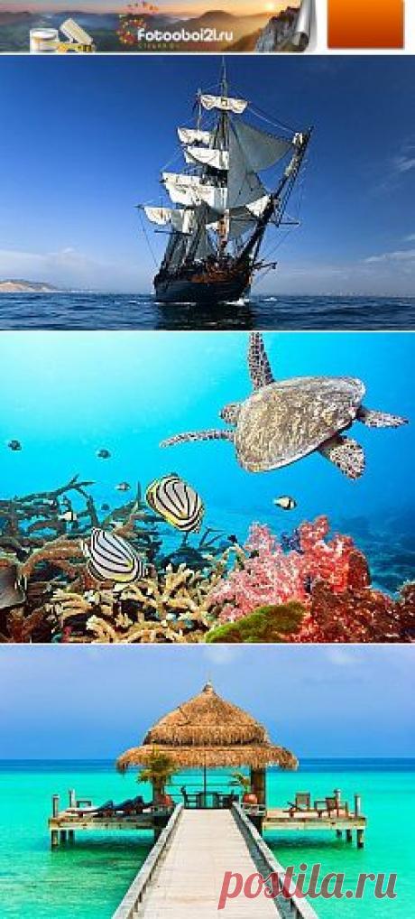 Фотообои для стен с 3D эффектом: моря и красивые пляжи, пальмы и белоснежный песок