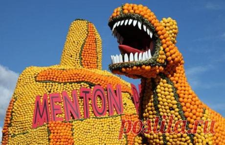 Фестиваль цитрусовых в столице лимонов Ментоне

Среди самых необычных праздников мира особое место занимает фестиваль лимонов в Ментоне, проходящий на берегу французской Ривьеры во второй половине февраля. На этот удивительный праздник собираются десятки тысяч французов и иностранных гостей. На средиземноморском побережье Франции лимонный фестиваль немного уступает по популярности разве что только знаменитому карнавалу в Ницце и гонкам «Формулы-1» в Монако.