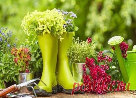 Красивые и интересные клумбы на даче своими руками | Журнал Ярмарки Мастеров