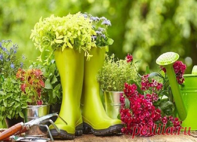 Красивые и интересные клумбы на даче своими руками | Журнал Ярмарки Мастеров